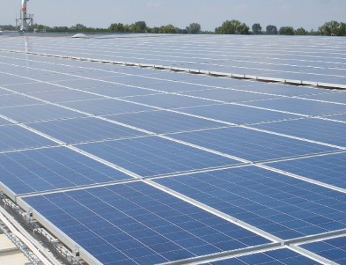 Surgital accelera sulla sostenibilità con energia smart e rinnovabile che copre il 91% del fabbisogno