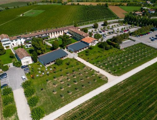 Kanada (Roncadin) cede Cantina RR a Cantina Rauscedo