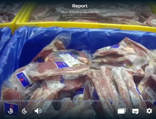 La trasmissione Report, di Raitre, contro il macello Bervini Primo. La risposta dell’azienda