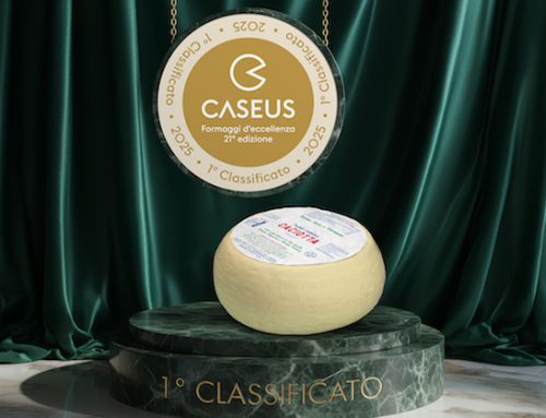 La Caciotta del Caseificio Fratelli Castellan si è classificata prima nella sua categoria al concorso Caseus Veneti