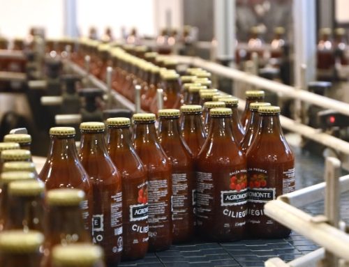 Agromonte chiude il raccolto 2025 con il 90% della materia prima proveniente da terreni di proprietà