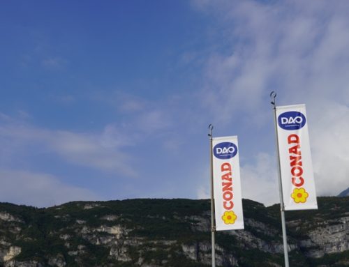 DAO e l’arte di crescere rimanendo locali