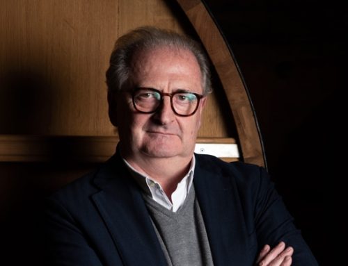 Puglia: Cantine Torrevento riacquista il 51% da Prosit Group e torna al 100% del controllo societario