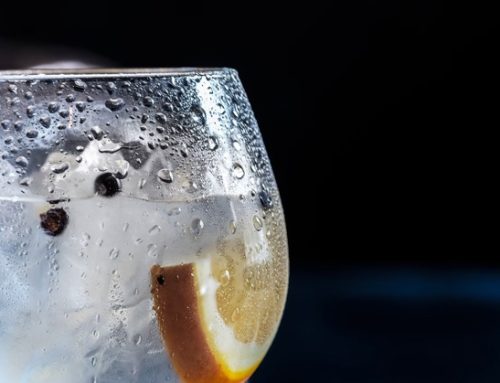 Se è senza alcol non è gin: la decisione della Corte di Giustizia Ue