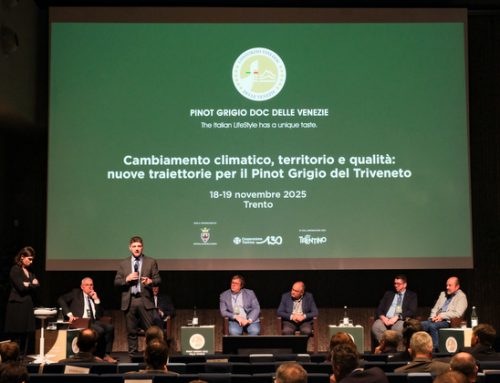 Trento, il congresso Doc delle Venezie traccia il futuro del Pinot Grigio