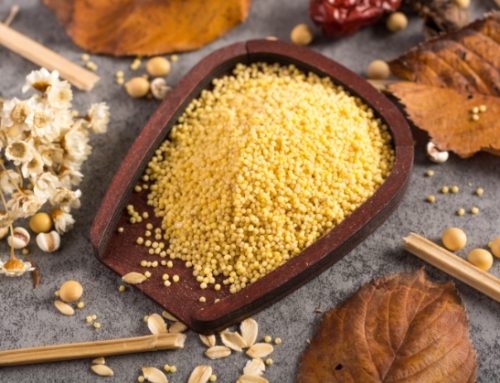 Cous Cous: PM&Partners e Armònia acquisiscono la maggioranza di Bia