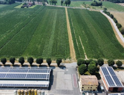 A Ecomondo, Inalca presenta la partnership con Corteva e il nuovo percorso di riduzione delle emissioni