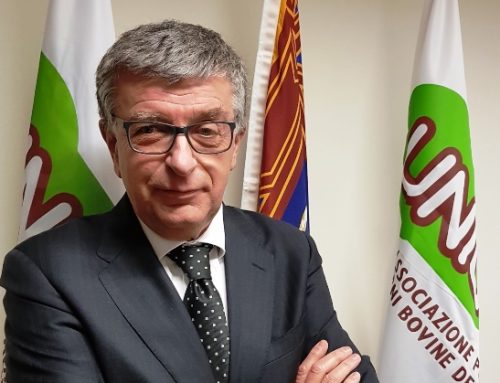 Zootecnia bovina: gli appelli al Governo di OI Intercarneitalia per il futuro del settore