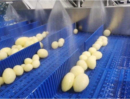 Naturitalia investe sui prodotti di IV gamma con una linea ortofrutta pensata per l’Horeca