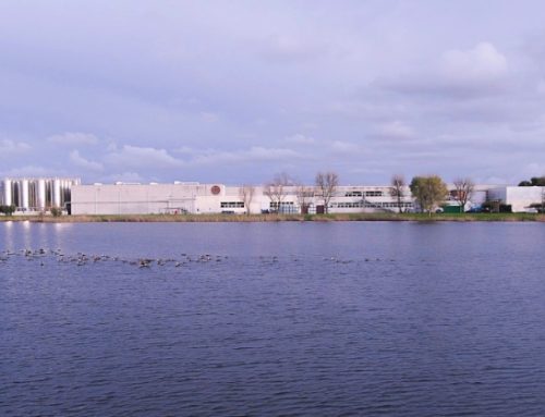 Salov (Filippo Berio e Sagra) presenta il Report di Sostenibilità 2024