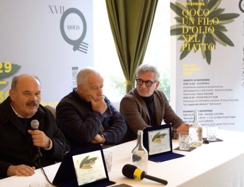Ad Andria, l’anteprima della XVII edizione di QOCO, il concorso internazionale dedicato all’olio extravergine