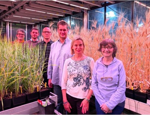 Vertical farm / Agricola Moderna partner di ‘Sustain’ per innovare le coltivazioni in ambiente controllato