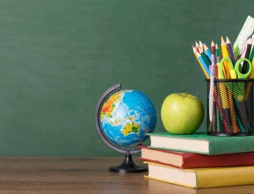 Cotarella (Assoenologi) propone di inserire agricoltura e viticoltura tra le materie scolastiche