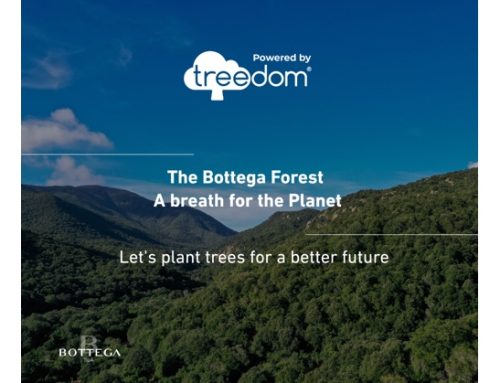 In Equador, Tanzania e Madagascar nasce la ‘Foresta Bottega’