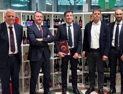 Gruppo Caviro chiude il bilancio 2024-2025: ricavi consolidati a quota 351 milioni di euro