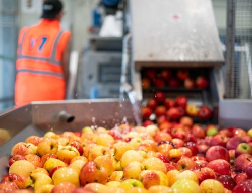 Frutta / Futura (Frullà e Compagnia Italiana) pubblica il primo Report di sostenibilità