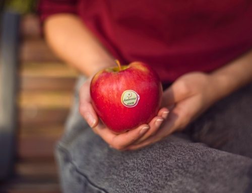 Mele Ambrosia (Vip): raccolto di alta qualità e nuovo piano di comunicazione