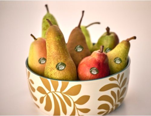 Pera dell’Emilia Romagna Igp: al via il progetto ‘Il perfetto frutto gourmet’ per l’Horeca