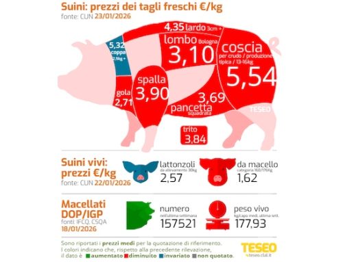 Cun tagli freschi 23 gennaio. Cali importanti: -7 centesimi le cosce pesanti Dop, -15 triti e spalle, -12 le pancette. Ma resistono cosce non tutelate e coppa rifilata