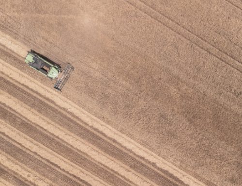 Granoro presenta il terzo Bilancio di Sostenibilità