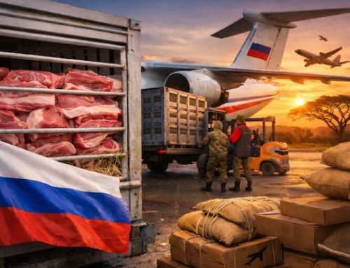 Carne suina: la Russia pronta a incrementare l’export in Africa