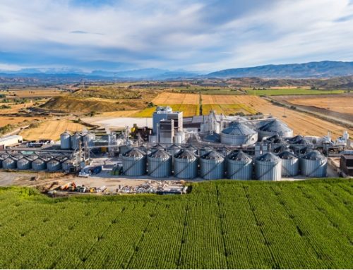 Cereal Docks acquisisce il 70% della spagnola Quality Corn e rafforza la filiera del mais alimentare