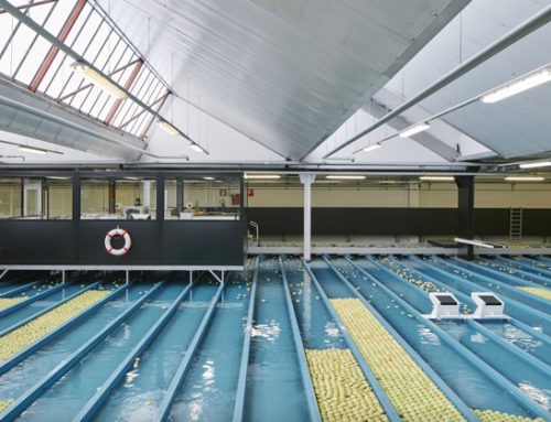 Mele / Vip rafforza la leadership nel bio europeo con l’innovativo stabilimento Juval