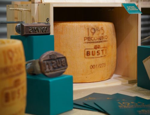 Caseificio Busti celebra 70 anni di tradizione casearia con il pecorino in edizione limitata ‘1955’