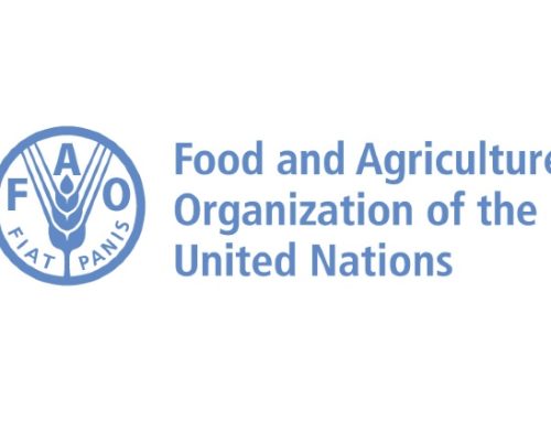 Maurizio Martina candidato italiano a direttore generale della Fao