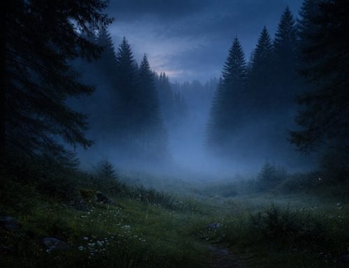 Incidente Rovagnati: secondo la perizia l’elicottero non doveva decollare