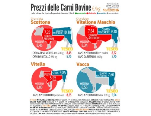 In calo i prezzi delle carni bovine: l’analisi di Teseo by Clal