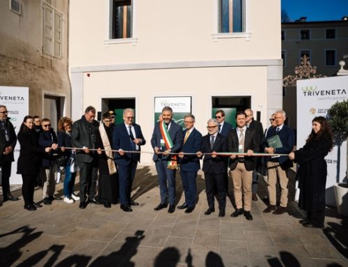 Nasce il polo vitivinicolo del Triveneto