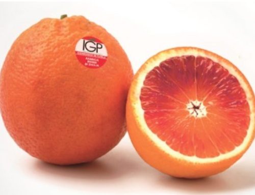 L’arancia rossa di Sicilia Igp cresce nei mercati esteri