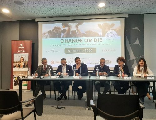 ‘Change or Die’: il futuro della filiera bovina protagonista della tavola rotonda di Centro Carni Company