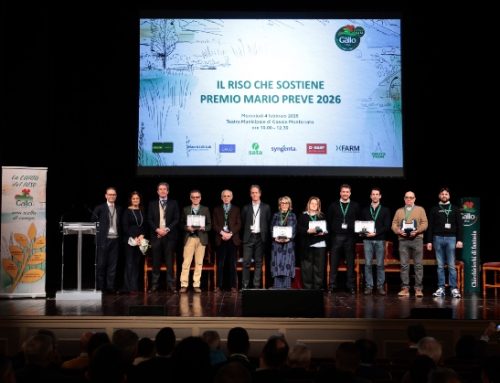 Riso Gallo: sostenibilità e redditività al centro della terza edizione de ‘Il Riso che Sostiene’