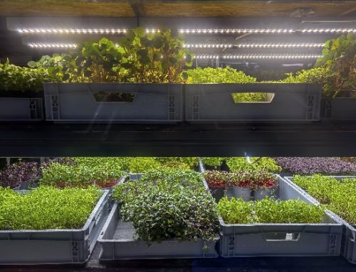 Startup agrifoodtech: nel 2025, raccolte risorse per 121,6 milioni (+18%). Il report Eatable Adventures