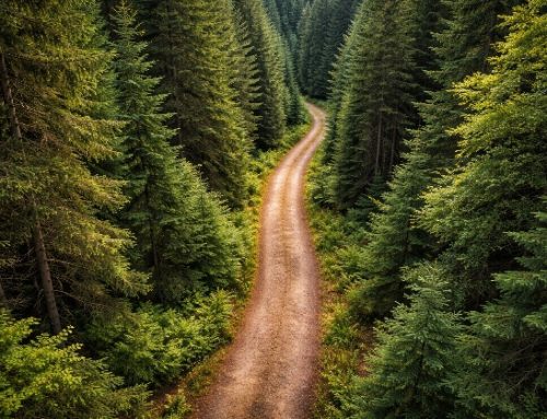 Il ricambio generazionale non è un Buen Camino