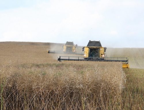 Piano d’azione fertilizzanti / 2 Copagri: “Pochissime luci e decisamente più ombre”