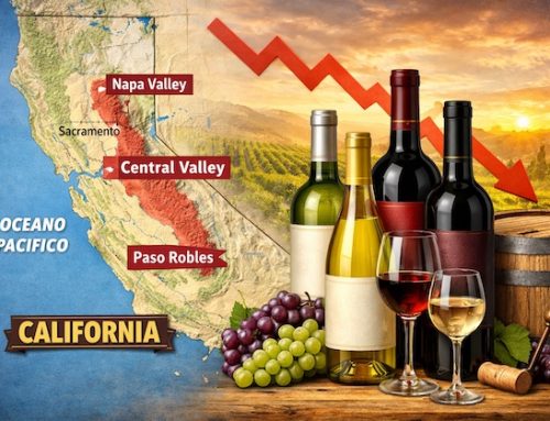 Vino californiano in crisi: vendemmia in calo e consumi deboli frenano il settore