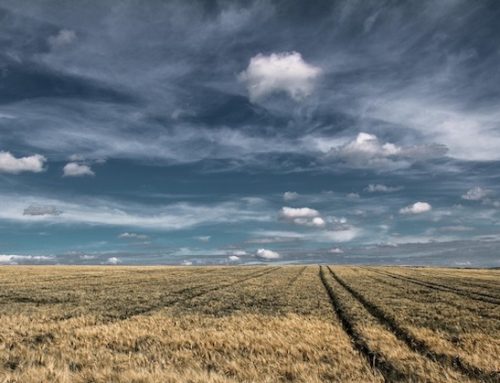 Opa su BF, sul piatto 666 milioni di euro