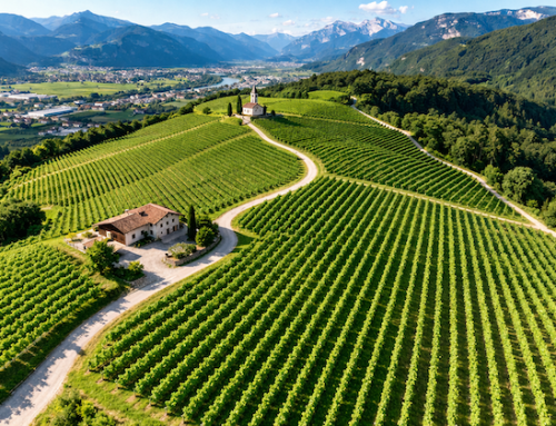 Vino Santo Trentino verso la candidatura Unesco
