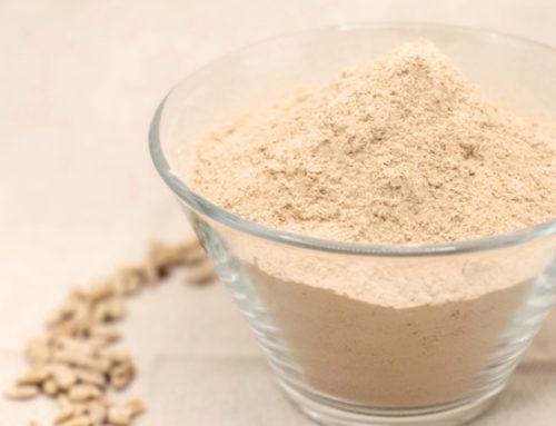 Proteine vegetali da girasole: nuovo brevetto europeo a Cereal Docks