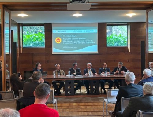 Il Pinot Grigio Doc delle Venezie adotta il nuovo contrassegno di stato tricolore. La presentazione a Milano