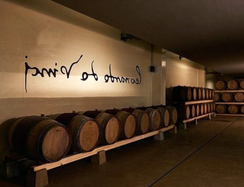 Cantine Leonardo da Vinci, scatta la liquidazione coatta