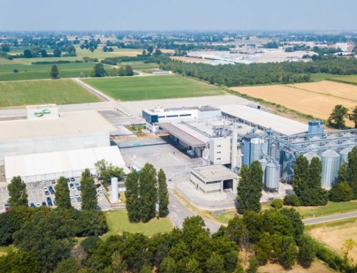 Mais bianco, MartinoRossi e Galbusera rilanciano la collaborazione per un’agricoltura sostenibile