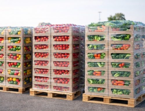 Ortofrutta / Fruitimprese: “Nel 2025 export da record, ma la guerra frena. A rischio 150 milioni di euro”