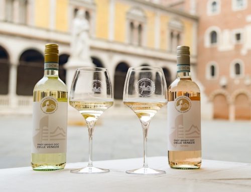 Il Pinot Grigio Doc Delle Venezie è ‘Official Wine’ del Giro d’Italia 2026. La presentazione a Vinitaly