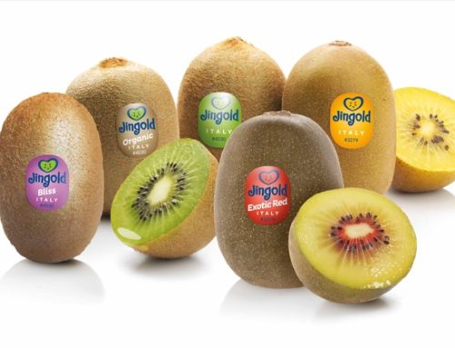 Kiwi / Jingold celebra 25 anni e supera i 100 milioni di euro di fatturato