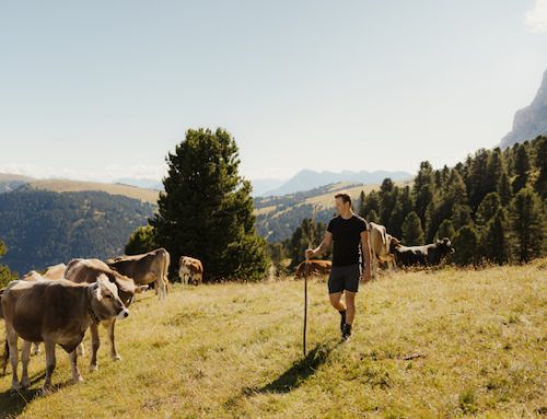 La Federazione Latterie Alto Adige racconta la sua filiera e lo slogan ‘Buono per davvero’