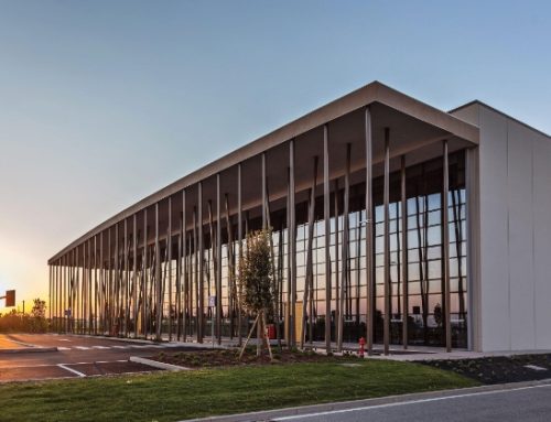 Nasce Healtion, il nuovo gruppo italiano dedicato al cibo salutare e bio